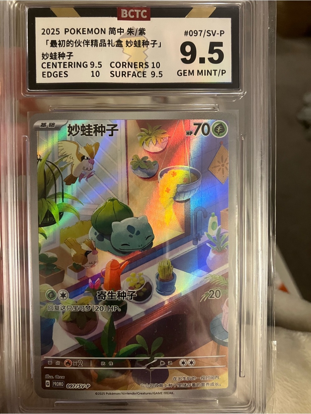 Bulbasaur #97/SV-P Chinese Promo Pokemon Card Graded